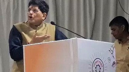 मंत्री गोयल ने क्यों कहा ऐसा, बड़ी छलांग लगाने के लिए बड़ा सोचें