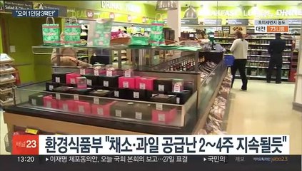 "오이 1인 3팩만" 英 채소 공급난…브렉시트 탓?