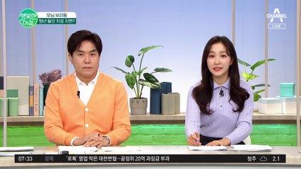 '탈모 치료 지원' 논란! 왜 세금으로 탈모 치료해 vs 탈모는 사회적 질병
