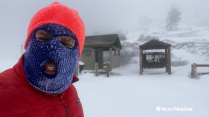 Blizzard conditions shut down California highways