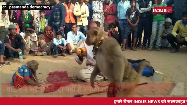 इन मुसलमानों का कौन अपना। Pasmanda Muslims । Casteism Discrimination in Muslims ।#indusnews24x7