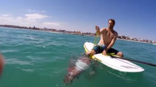 Surfer attacked by octopus