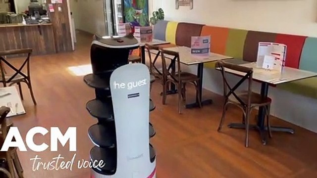 BellaBot joins Port Fairy pizza shop | February 24, 2023 | Warrnambool Standard