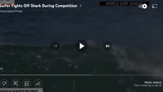 Sharks attacks