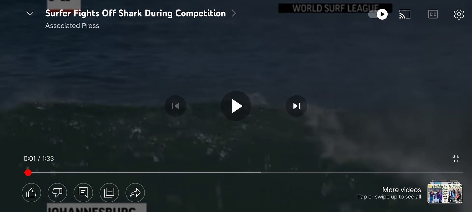 Sharks attacks