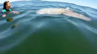 Giant fish with humans in sea.