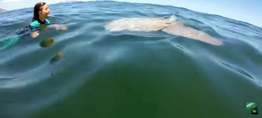 Giant fish with humans in sea.