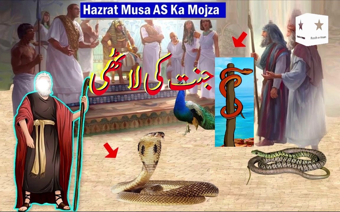 Mosa (AS) Stick - Asa e Mosa - Islamic Information - Rooh-e-Insan