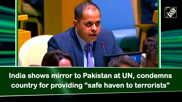 India shows mirror to Pakistan at UN, condemns country for providing 'safe haven to terrorists'