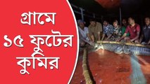 ১৫ ফুট দৈর্ঘ্যের কুমির, সাত ঘণ্টার চেষ্টায় ধরল বন দফতর