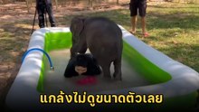 น่ารักไม่ไหว พลายตุลาแกงพี่เลี้ยงตอนอาบน้ำ พอมี FC เอาใหญ่เลยนะลูก