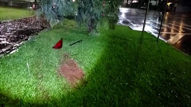 Condutor colide carro em árvore no canteiro central, foge e abandona bíblia na chuva