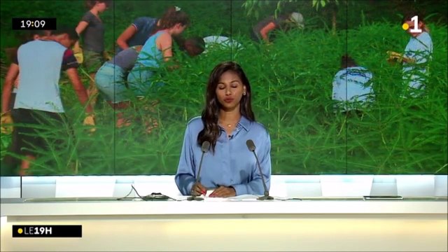 JMZH 2023 - Les écodélégués du lycée Moulin Joli luttent contre les espèces exotiques envahissantes