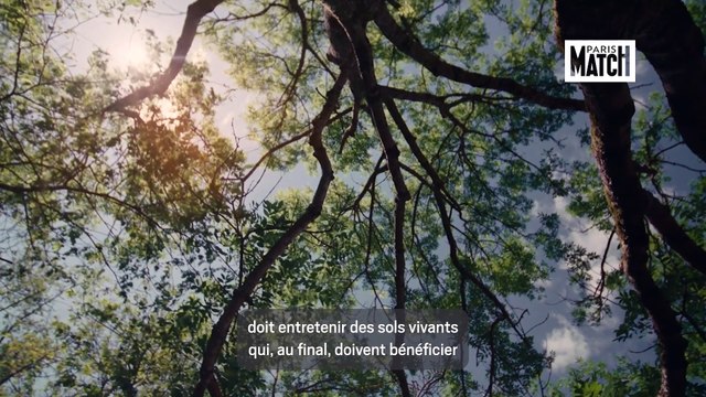 Natura Nostra : Moët & Chandon s’engage pour la viticulture durable