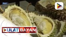 Pilipinas, magsisimula nang magpadala ng durian sa China sa susunod na buwan