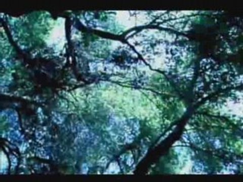 Paul Oakenfold - Southern Sun (DJ Tiësto Remix)