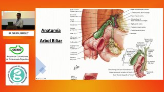 Anatomía y fisiologí de la Vía Biliar. Dr. Carlos A. González Salazar.