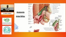 Anatomía y fisiologí de la Vía Biliar. Dr. Carlos A. González Salazar.