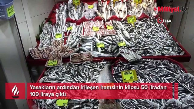 Yasakların ardından irileşen hamsinin kilosu 50 liradan 100 liraya çıktı