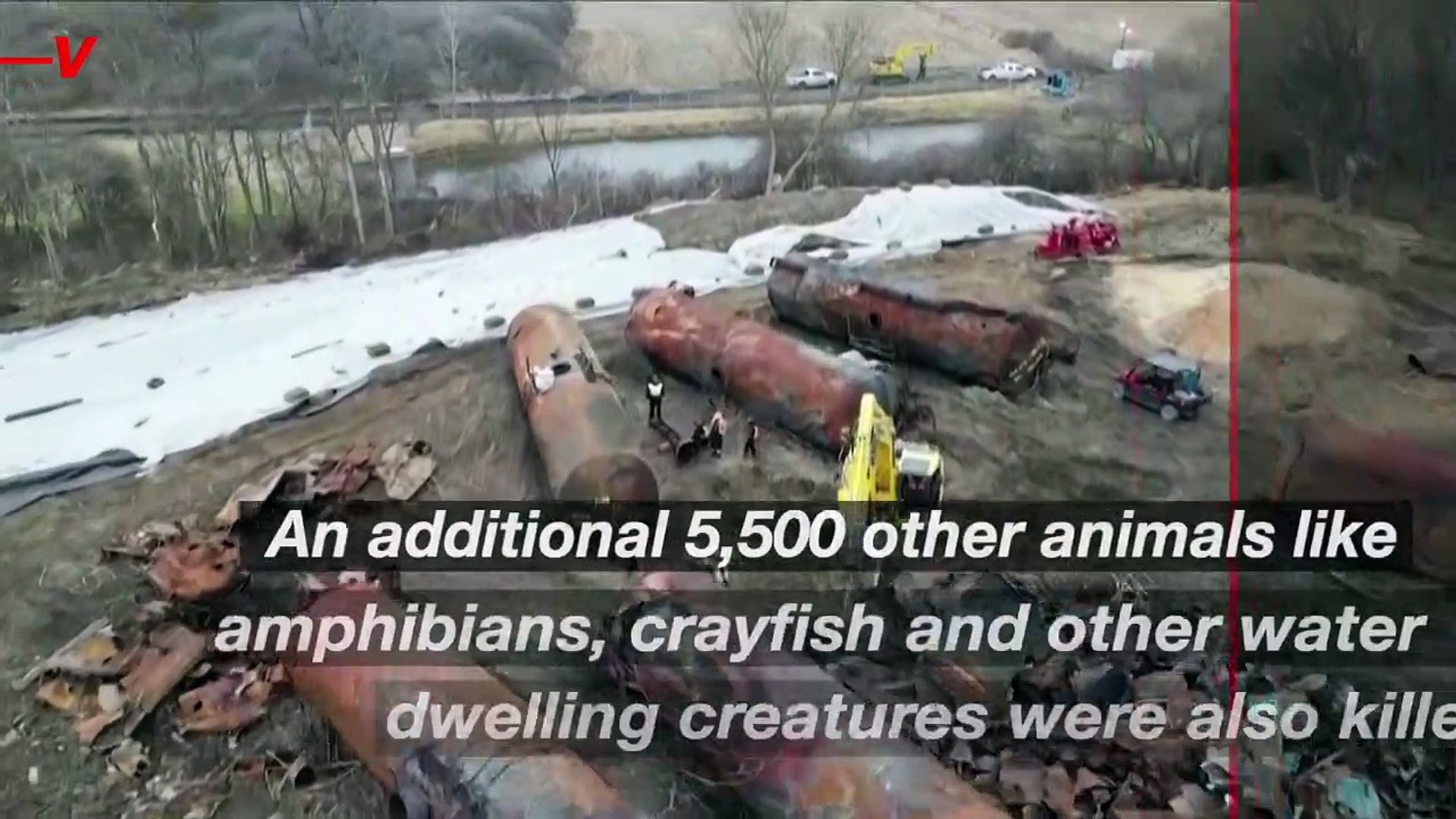 Ohio Train Derailment Responsible for More Than 44,000 Animal Deaths So Far  - video Dailymotion