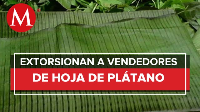 Pese a lo dicho por las autoridades, siguen las extorsiones en Guerrero