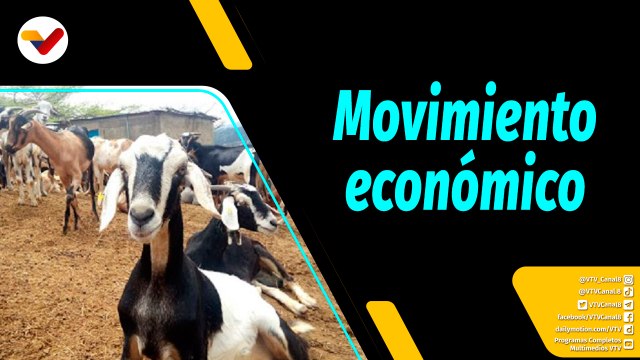 Al Aire | Impulso a los diferentes sectores productivos para la economía del país