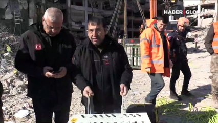 Galeria Sitesi'nde kurtarılan kedi sayısı 13'e yükseldi