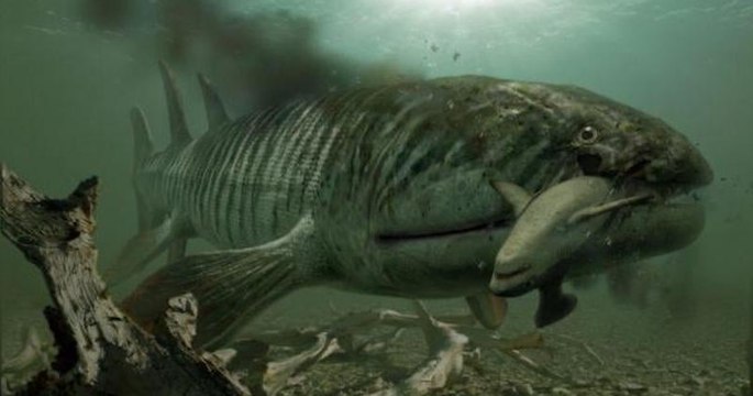 Découverte d'un fossile d'un immense poisson préhistorique aux crocs géants