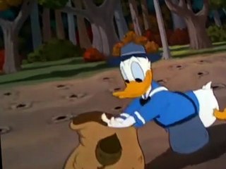 Donald Duck Donald Duck E123 Winter Storage
