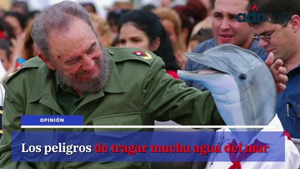 Las 5 noticias más leídas en ADN Cuba hoy Febrero 24