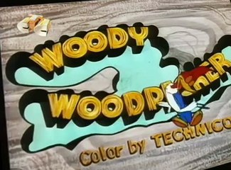 Woody Woodpecker Woody Woodpecker E146 – What’s Peckin