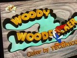 Woody Woodpecker Woody Woodpecker E155 – Sissy Sheriff