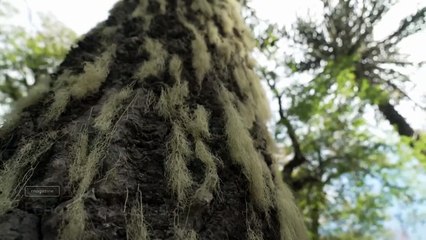 Echappées belles - 25 février