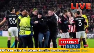 PSV_Fan_Tries_To_Attack_Sevilla_Goalkeeper_Marko_Dmitrovic_-_PSV_vs_Sevilla_-_PSV_Fan(360p)