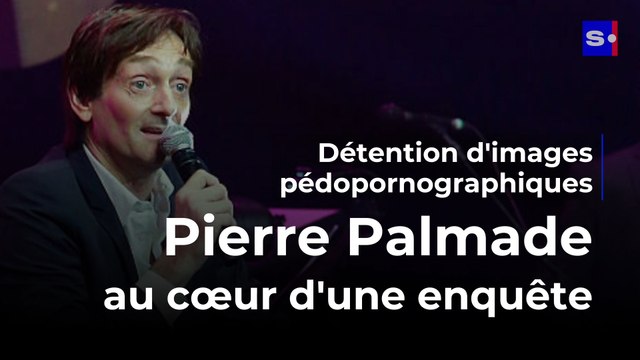 Pierre Palmade au cœur d'une enquête pour détention d'images pédopornographiques