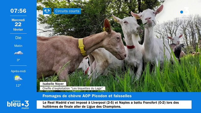 À Saint-Gervais-sur-Roubion, Les biquettes du laga , faisselles, fromage de vache et de chèvres AOP Picodon