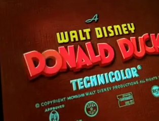 Donald Duck Donald Duck E123 Winter Storage