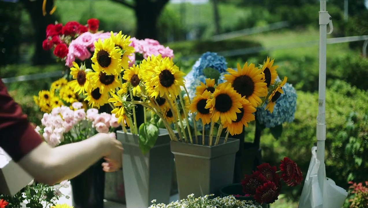 Photo du film N'oublie pas les fleurs Photo 5 sur 7 AlloCiné