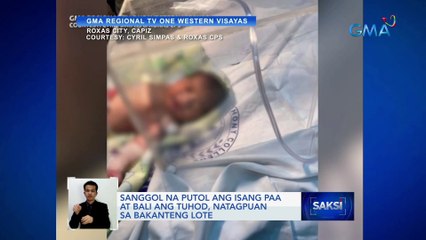 Sanggol na putol ang isang paa at bali ang tuhod, natagpuan sa bakanteng lote | Saksi