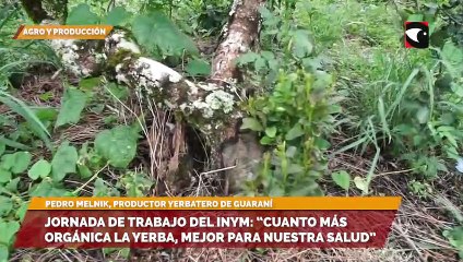 Jornada de trabajo del INYM: “Cuanto más orgánica la yerba, mejor para nuestra salud”