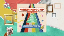 Hablamos sobre el festival Remind GNP 2023