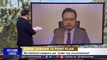 'China has established a strategic partnership with both Russia and Ukraine'