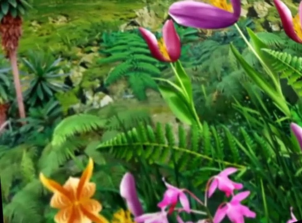 Little Einsteins Little Einsteins S02 E027 Quincy and the Instrument