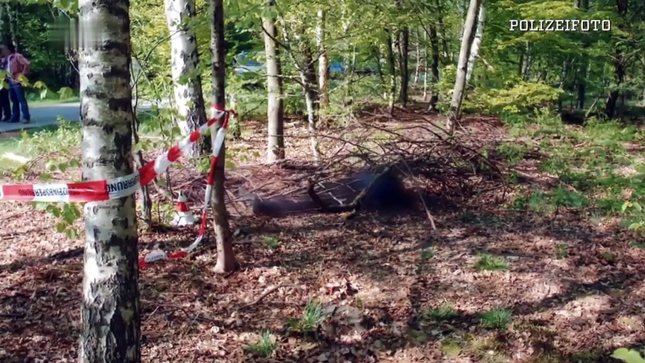 Ermittler! Unheilvolle Begegnung