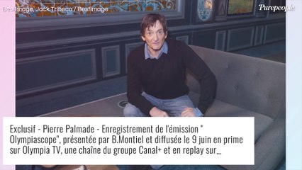 Pierre Palmade soupçonné de pédopornographie : une deuxième personne placée en garde à vue