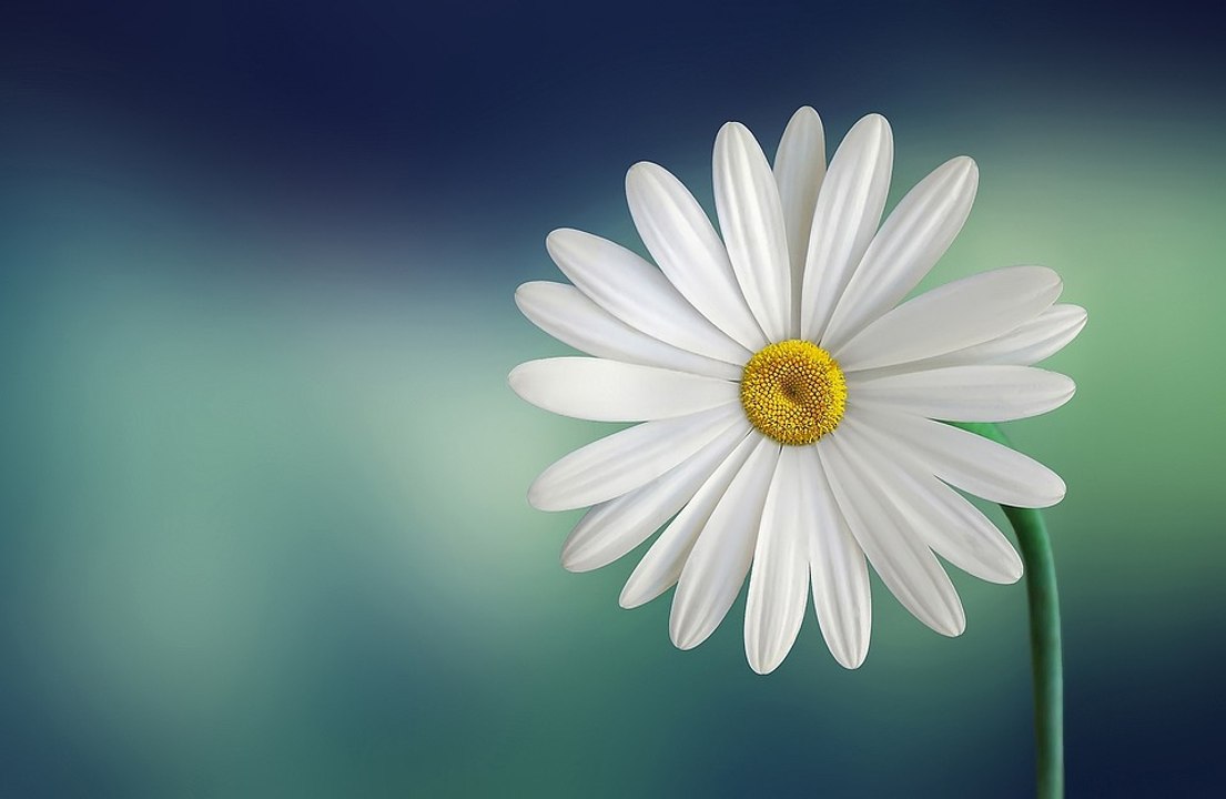 AU_test_colors_2_edited