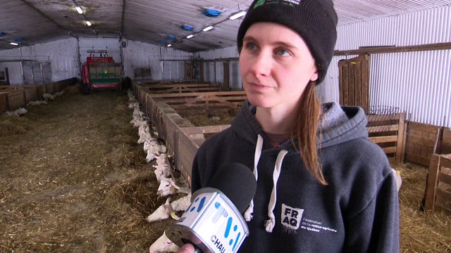2023-02-24 TOPO LPM Relève agricole Gaspésie