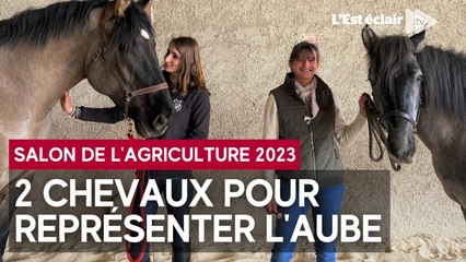 Des Aubois à 4 pattes pour le Salon de l'Agriculture