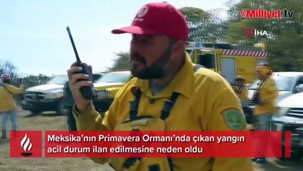Meksika'da alarm! Eğitime ara verildi acil durum ilan edildi
