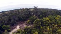 (Slow-Mo) 2m Wedge-Tailed Eagle takes down Drone - Australia (Eagle is Fine)